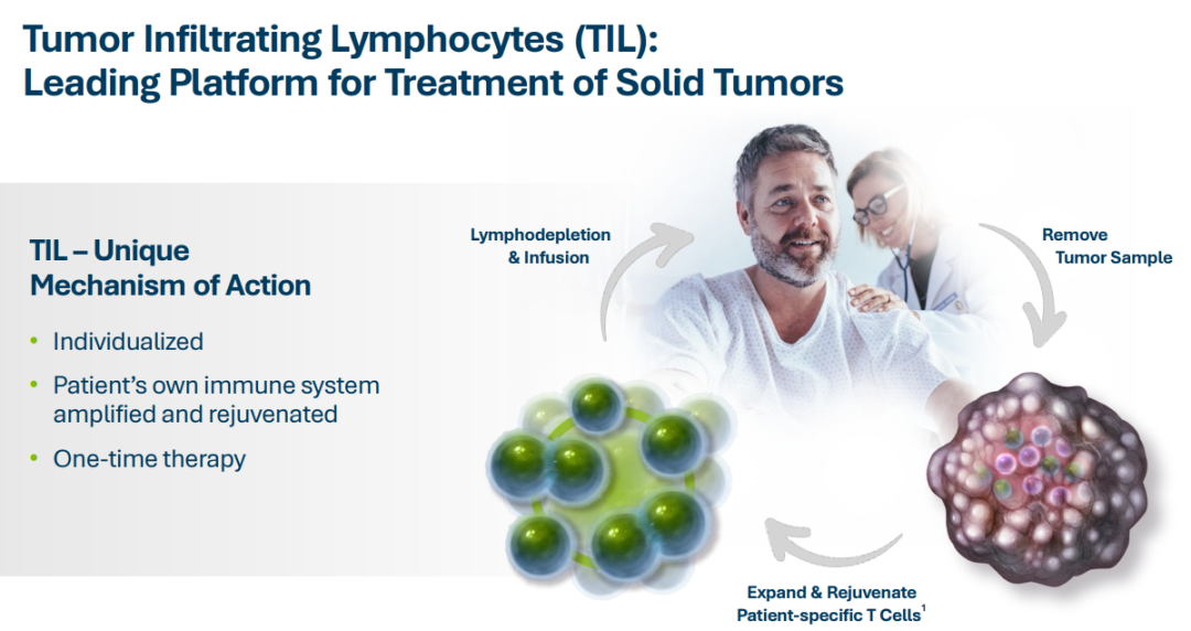 全球首款TIL细胞疗法完成FDA滚动上市申报
