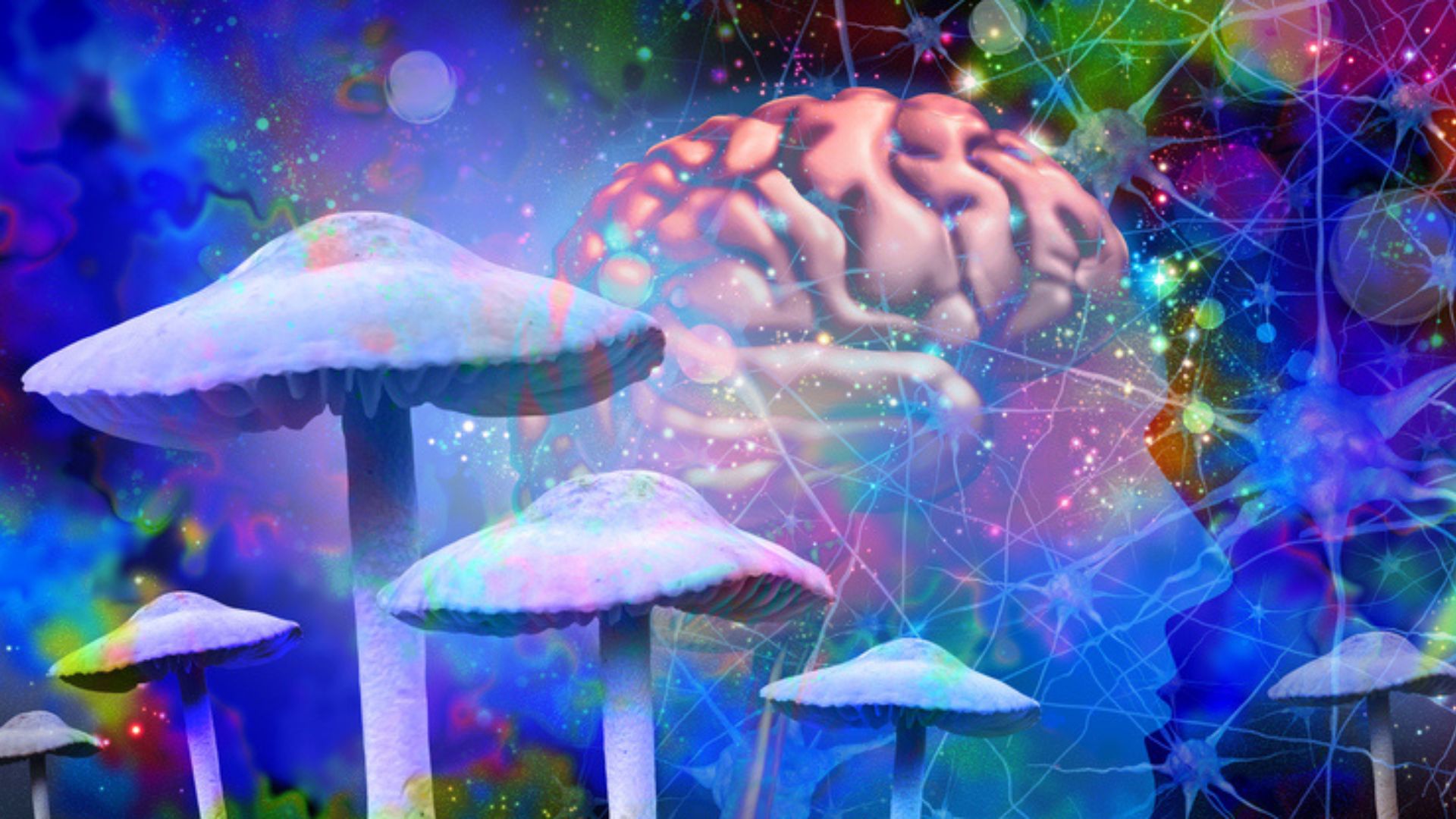 Inside the breathtaking world of therapeutic psychedelics: Great promise and great challenges