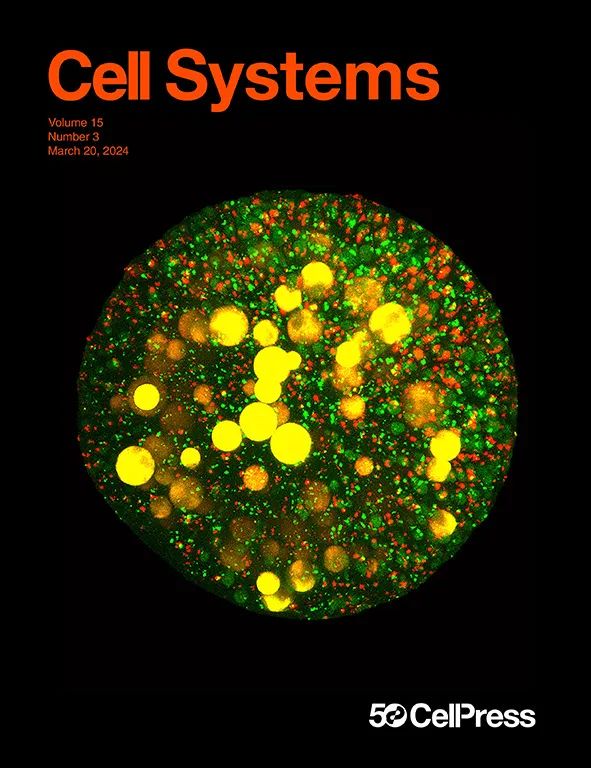 Cell Systems封面论文：中科院深圳先进院戴卓君团队实现合成生物学赋能的接枝反应