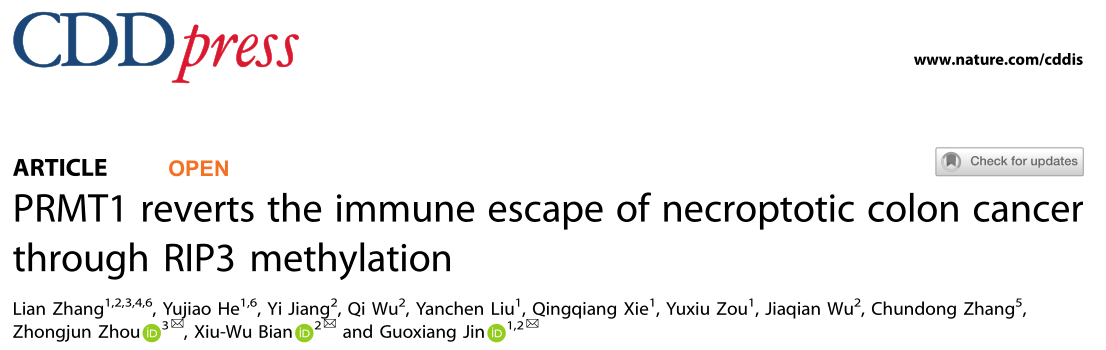 南方医科大学的研究者们揭示了PRMT1调节的坏死和结肠癌免疫的分子机制