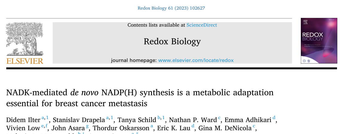 Redox Biol：NADK是转移性乳腺癌的一个重要且急需的治疗靶点