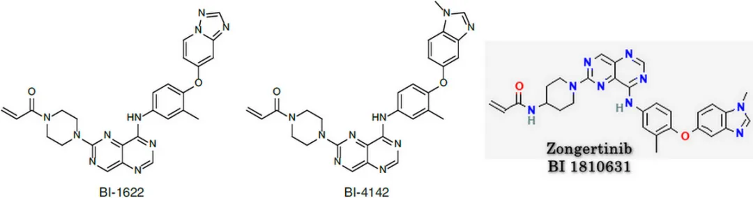 浅析HER2选择性小分子结构特征