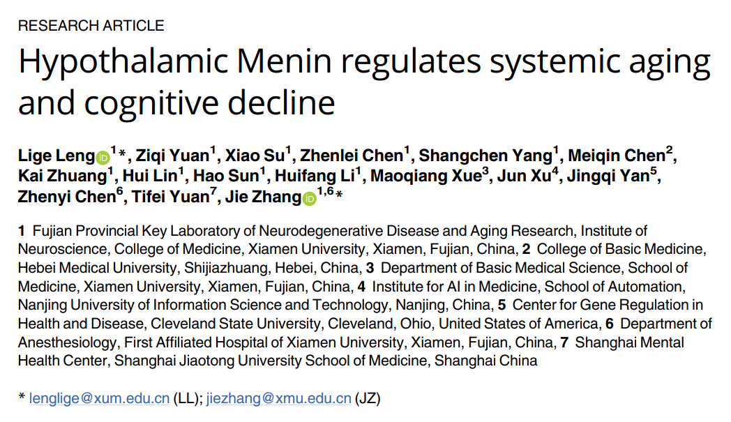 厦门大学张杰团队发现Menin缺失加速衰老，通过膳食补充D-丝氨酸可延缓衰老和认知衰退