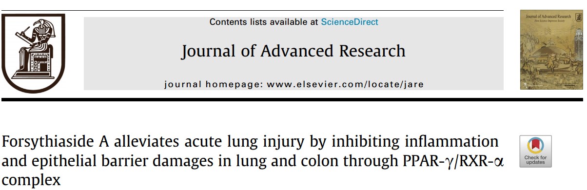 Journal of Advanced Research：连翘苷A通抑制肺和结肠炎症及上皮屏障损伤减轻急性肺损伤