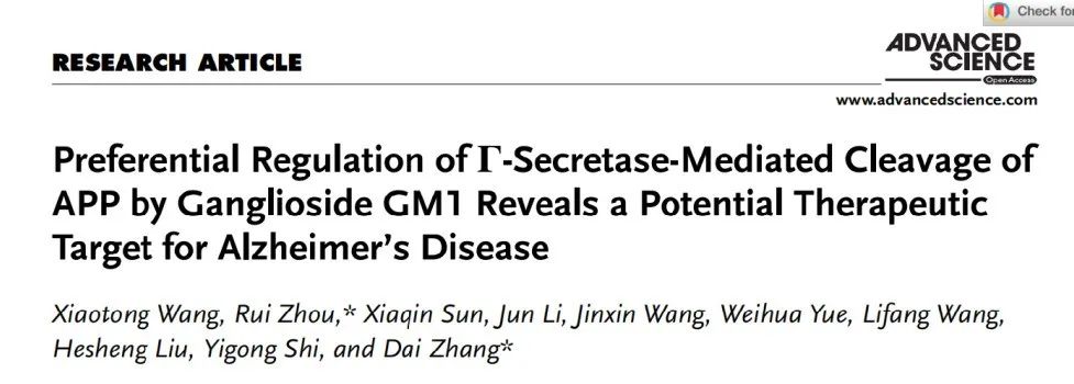 ​Adv Sci：张岱/施一公/周瑞团队发现神经节苷脂GM1在调控阿尔茨海默病大脑淀粉样变性进程中的新机制