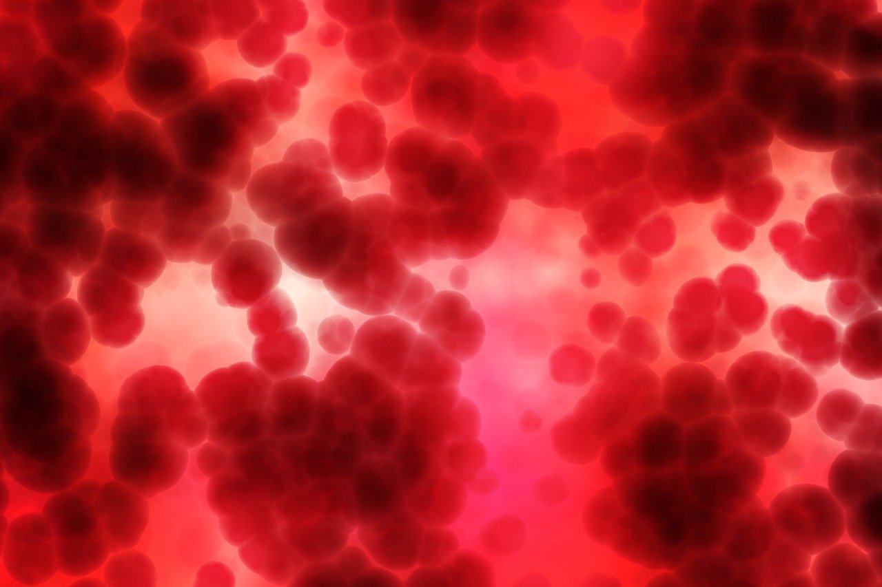 Karius snares FDA breakthrough tag for genomic infectious disease blood test
