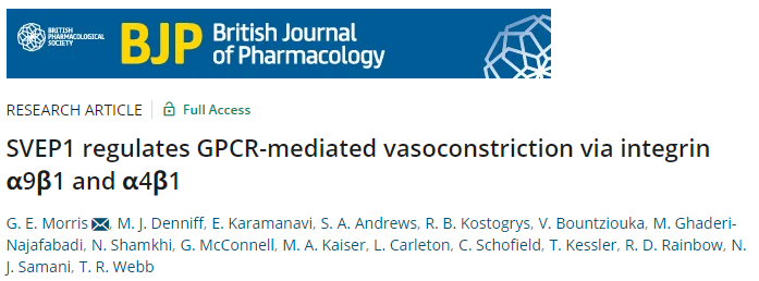Br J Pharmacol: SVEP1和整合素α4β1和α9β1在降低血管平滑肌细胞收缩中的新作用