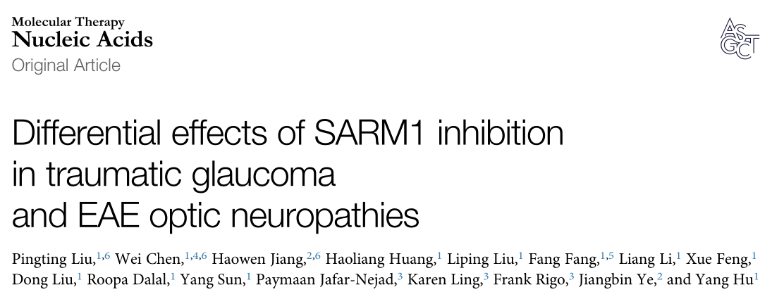 Molecular Therapy: Nucleic Acids: Sarm1抑制剂在外伤性青光眼和EAE视神经病变中的不同作用