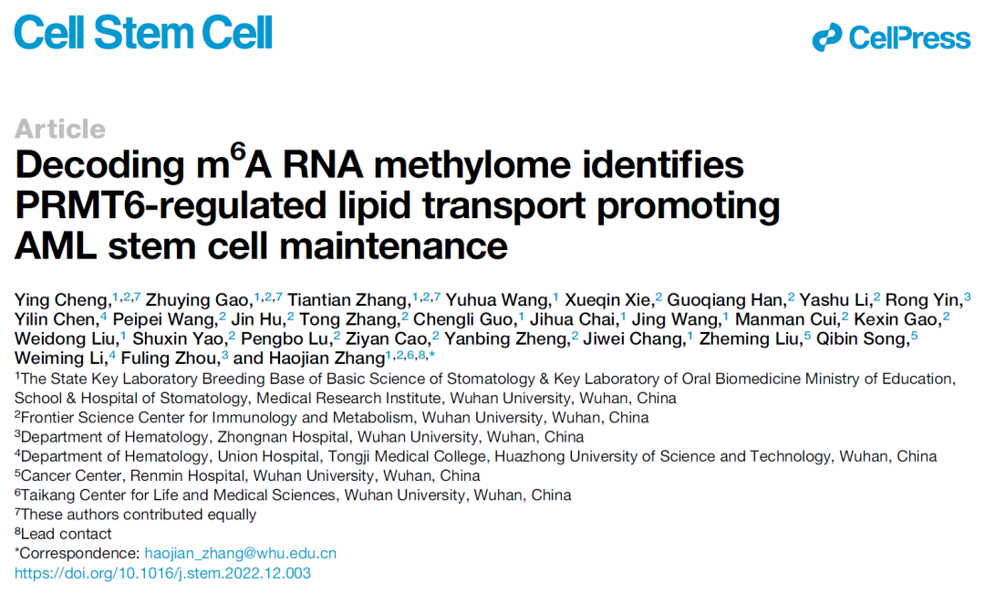 Cell子刊：张好建团队揭示急性髓系白血病中m6A修饰动态变化及PRMT6的调控作用和机制