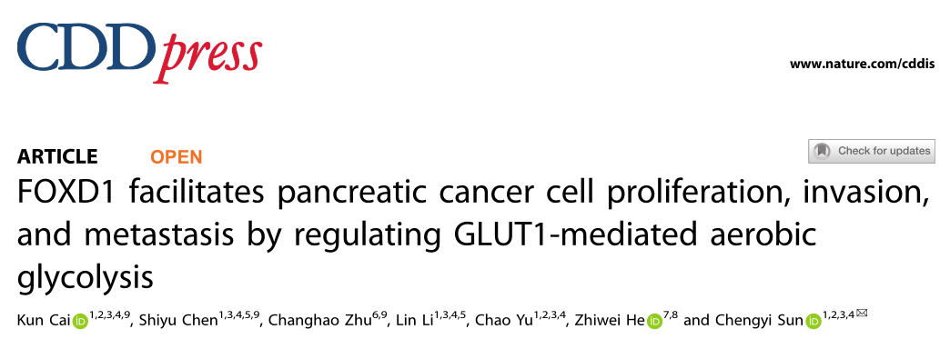 Cell Death and Disease: FOXD1通过调节GLUT1介导的有氧糖酵解促进胰腺癌细胞的增殖、侵袭和转移
