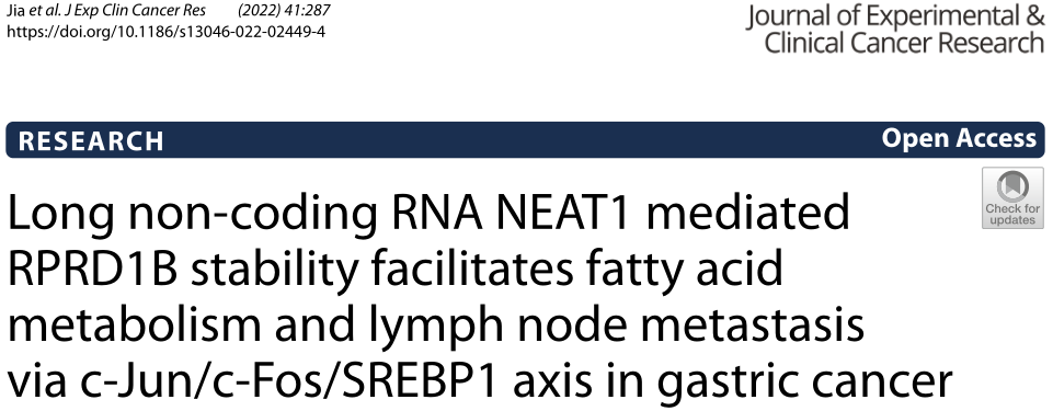 J Exp Clin Cancer Res: 长非编码RNA NEAT1介导的RPRD1B稳定性促进胃癌c-jun/c-Fos/SREBP1轴的脂肪酸代谢和淋巴结转移