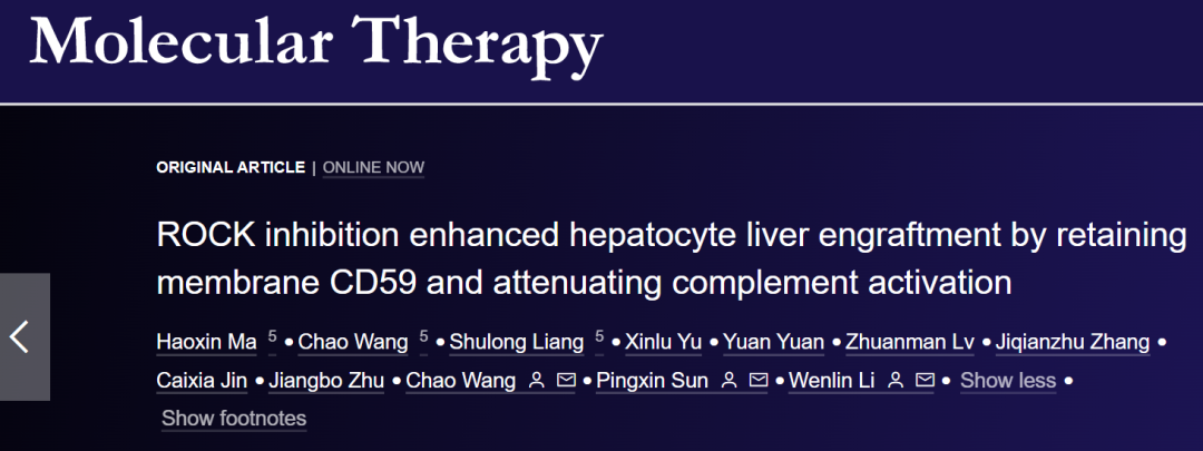 Molecular Therapy：海军军医大学李文林团队揭示ROCK抑制剂增强肝细胞移植的机制