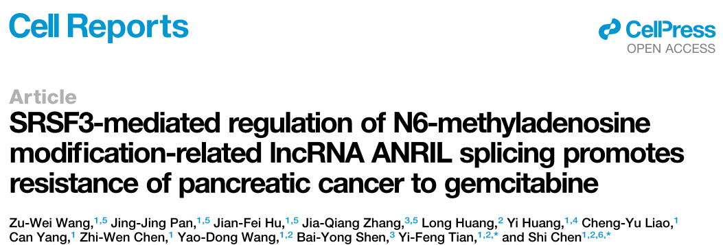 Cell Report: SRSF3调节lncRNA ANRIL剪接促进胰腺癌对吉西他滨的耐药性