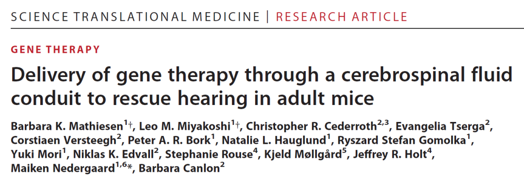 Science子刊：新型基因治疗递送方式，恢复成年耳聋小鼠听力