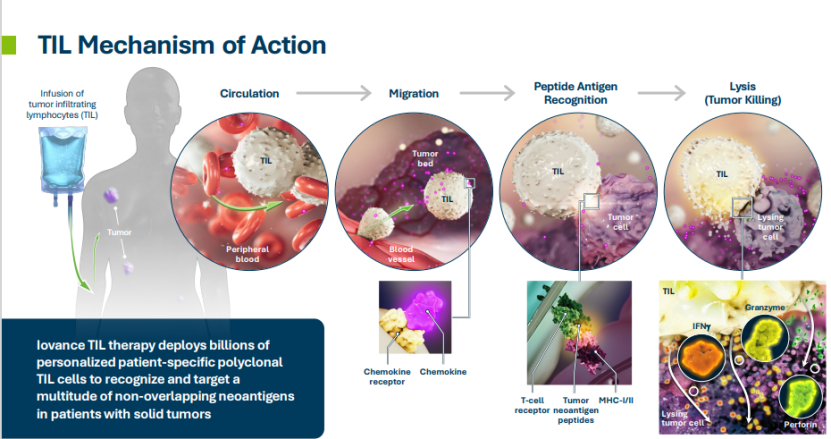 全球首款TIL细胞疗法完成FDA滚动上市申报