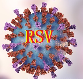 呼吸道合包病毒(RSV)疫苗！美国FDA授予辉瑞RSVpreF突破性疗法：保护≥60岁老年人群!