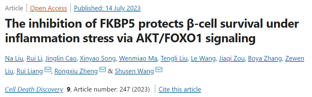 王树森/郑荣秀/梁瑞团队揭示抑制FKBP5提高β细胞功能的新机制