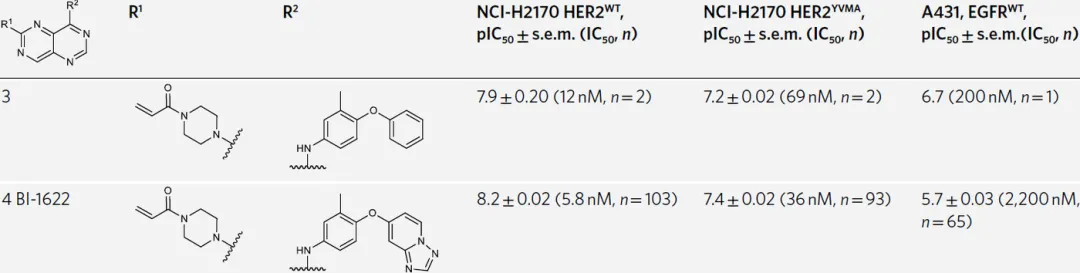 浅析HER2选择性小分子结构特征