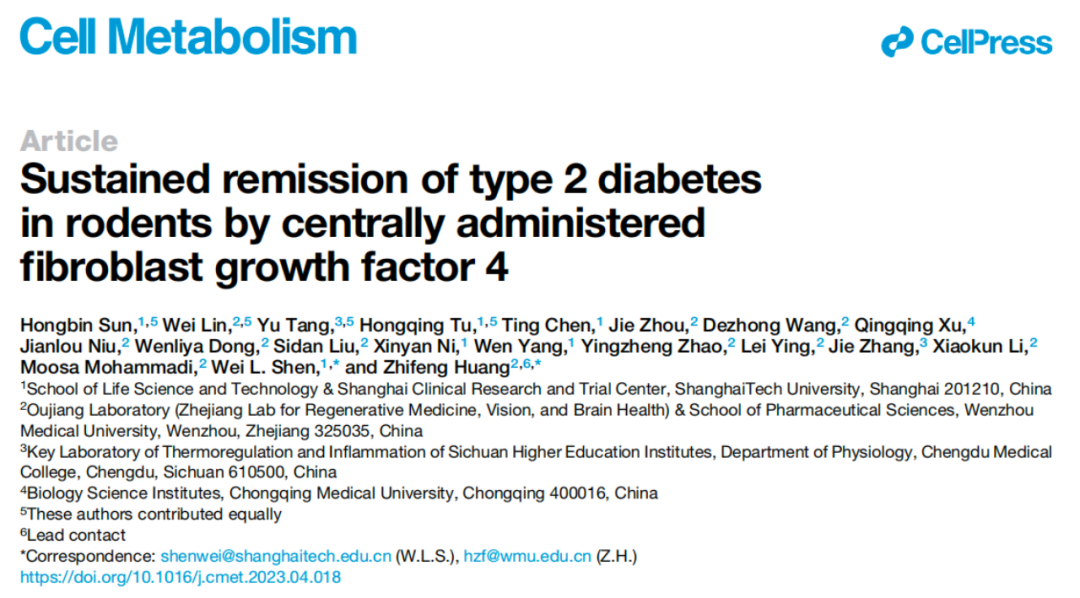 《细胞·代谢》：一次给药，控糖7周！中国科学家开发新型2型糖尿病治疗策略，单次侧脑室注射FGF4，可在小鼠体内实现7周的控糖效果