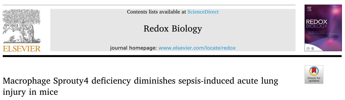 Redox Biology: 巨噬细胞球蛋白4缺乏减轻脓毒症所致小鼠急性肺损伤