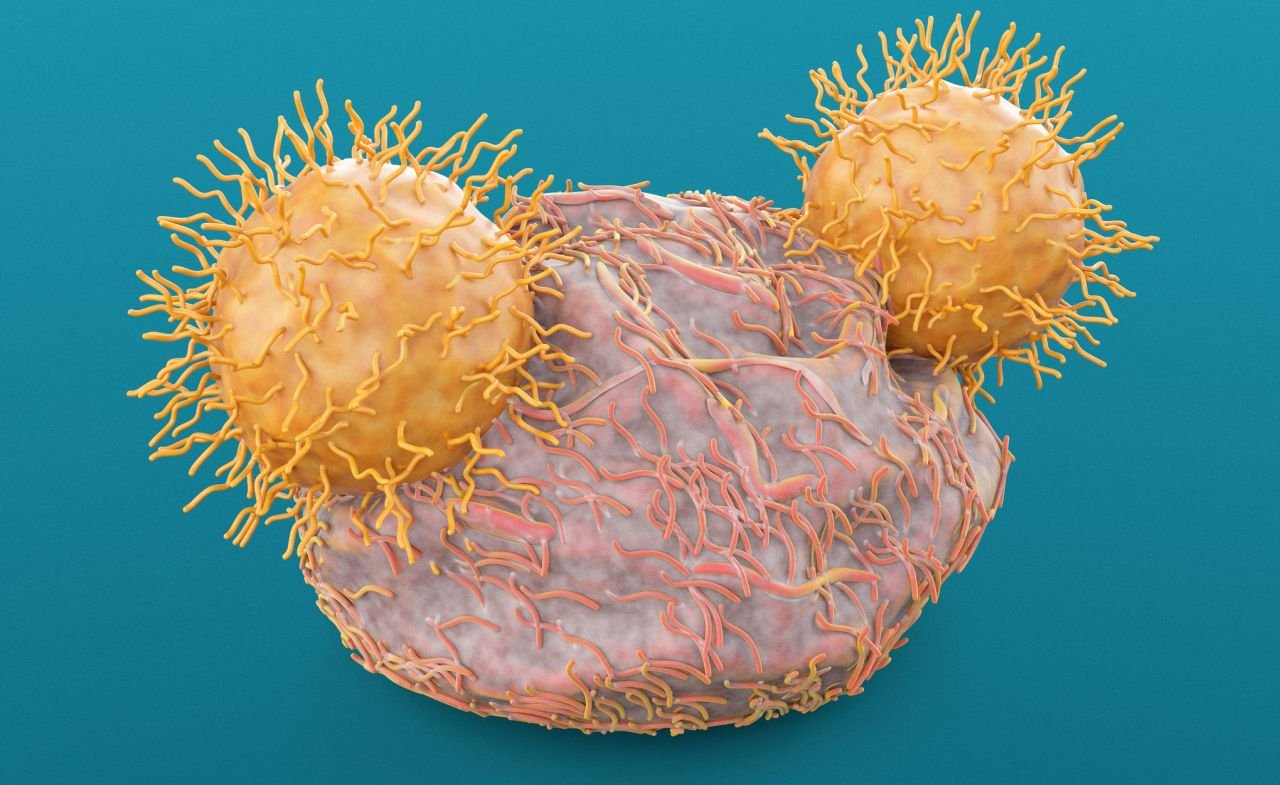 Novartis pays Legend $100M upfront to give solid tumor CAR-T the T-Charge treatment