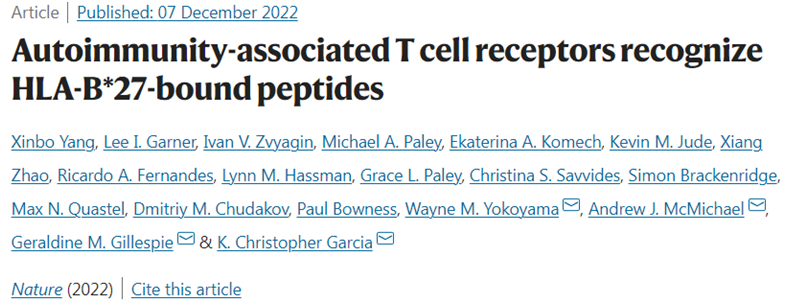 Nature：揭示与自身免疫反应相关的T细胞识别HLA-B*27结合的蛋白片段