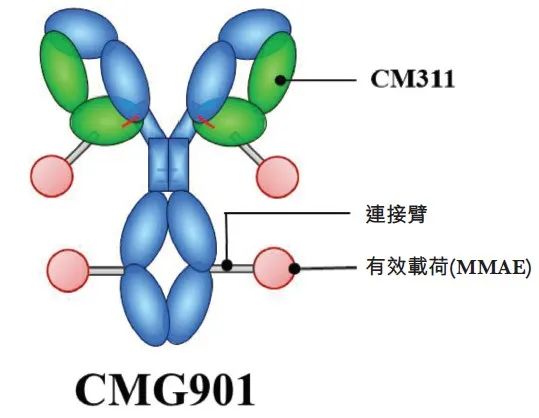 靶点冷暖，行业自知