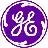 GE Healthcare IVD Technologies