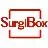 SurgiBox Inc